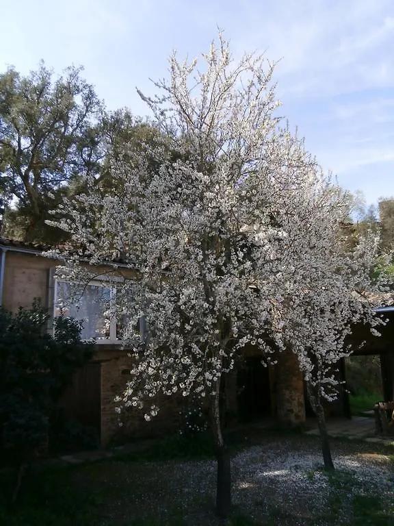 Tatil Evi El Zarzo De Nemesio, Alberca Barbacoa 2 Hab 4 Pers Mas 2 Max Villa Valdelarco İspanya